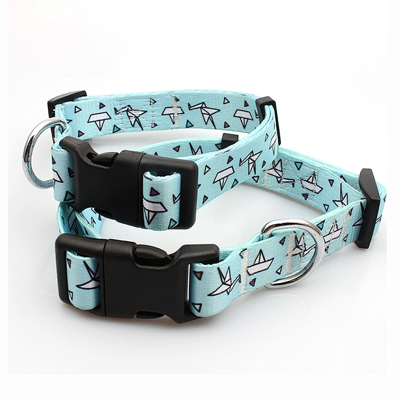 Small used plastic buckle dog training collar
