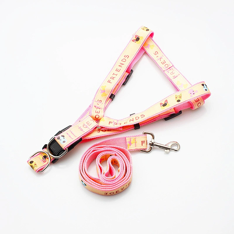 Custom recycled pet harness and leashes in China supplier