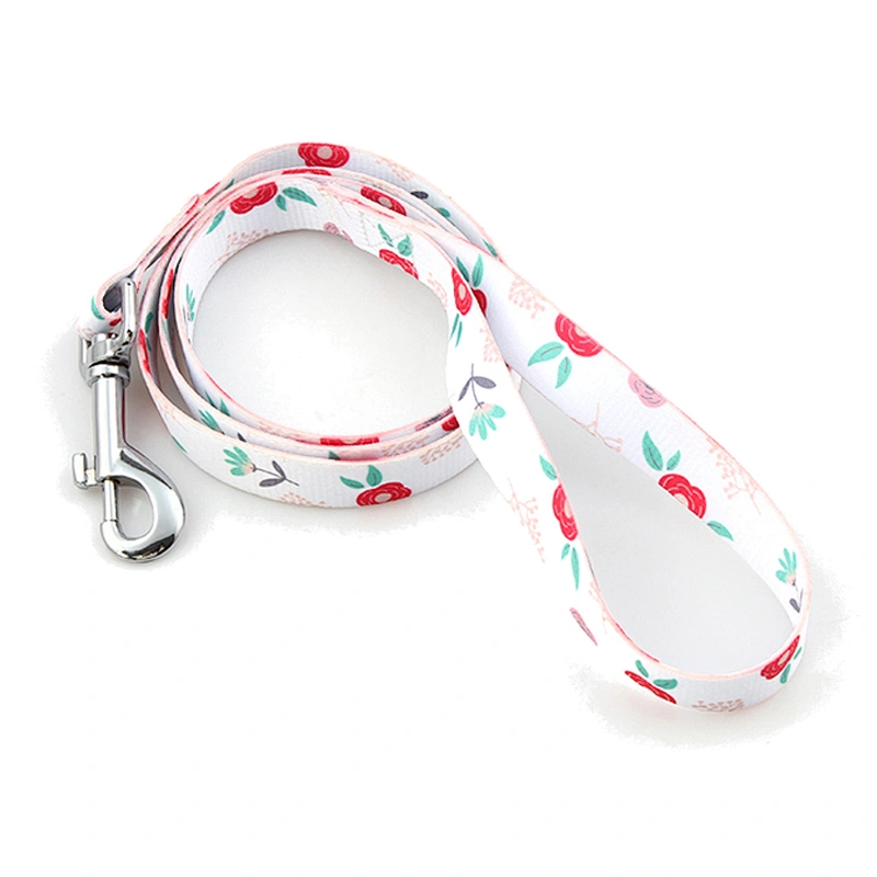 Wholesale Attractive Custom Safety Puppy Dog Leash Brands