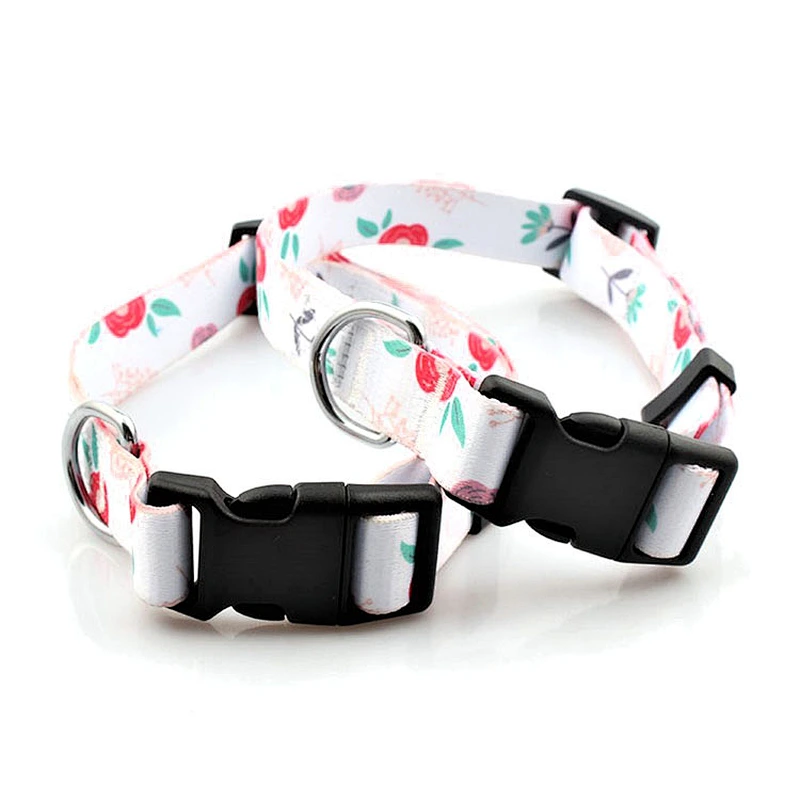 Wholesale premium padded custom design dog collars