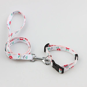 Best polyester collar and leash for pet and dogs puppies