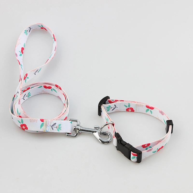 Best polyester collar and leash for pet and dogs puppies