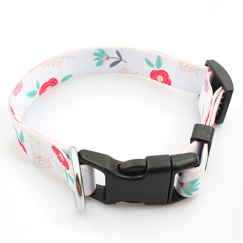 Hot selling custom stylish pet collar and dog leash