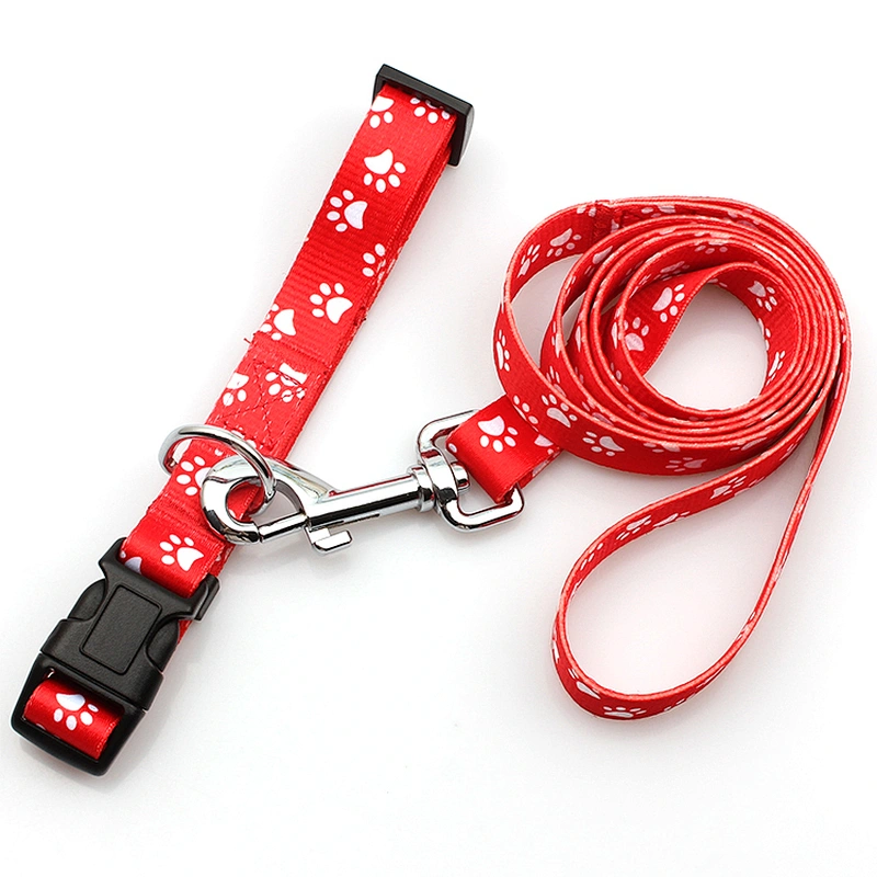 Heavy Duty Retractable Dog Training Leash And Pet Collar
