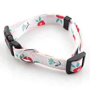 Hot selling custom stylish pet collar and dog leash