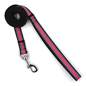 Retractable custom adjustable buckle nylon dog collar and leash