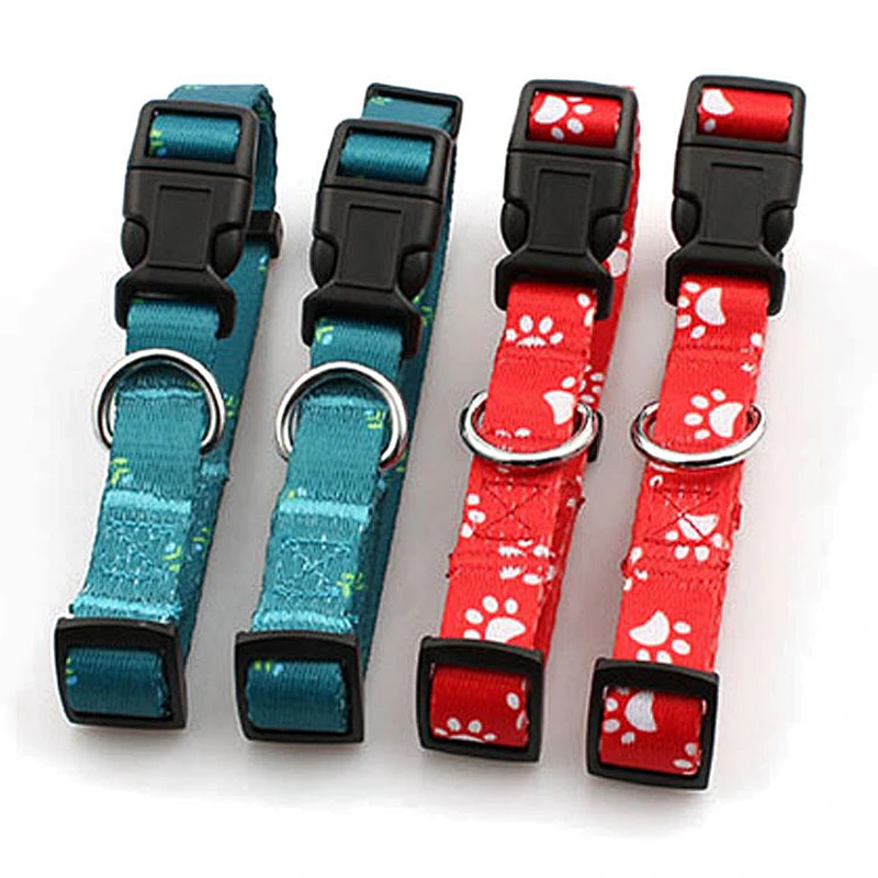 OEM Pet Suppliers Dog Collar With Adjustable Buckle for Sports