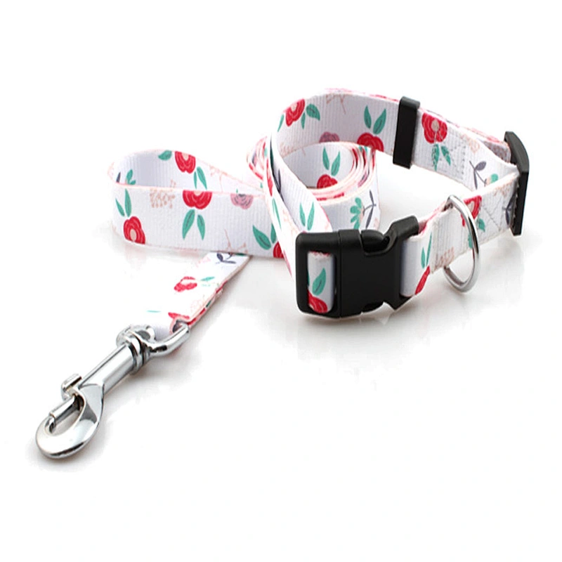 Best polyester collar and leash for pet and dogs puppies