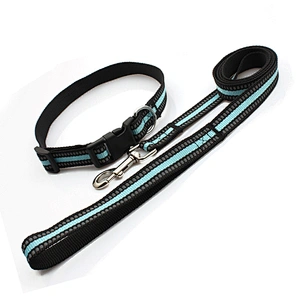 Factory wholesale fashion and new design dog leash and collar