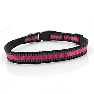 Retractable custom adjustable buckle nylon dog collar and leash