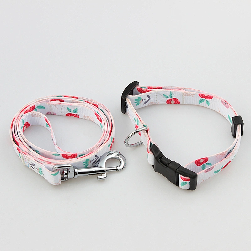 Best polyester collar and leash for pet and dogs puppies