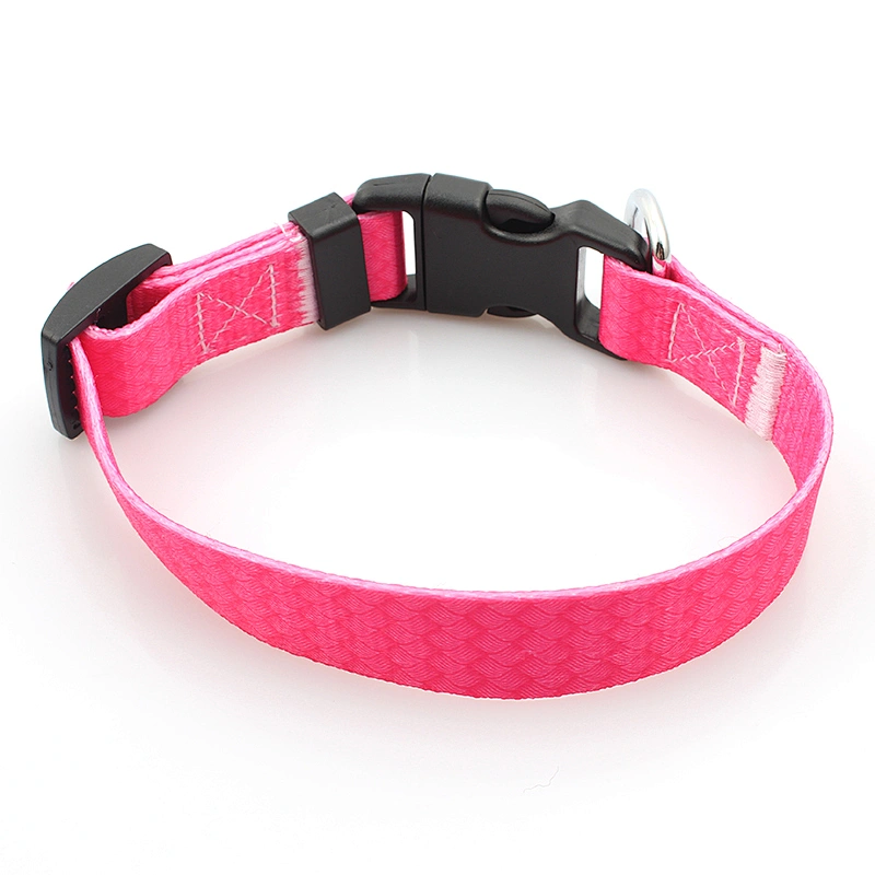 Customized heat transfer printing polyester dog collar