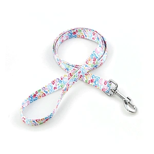 Wholesale Attractive Custom Safety Puppy Dog Leash Brands