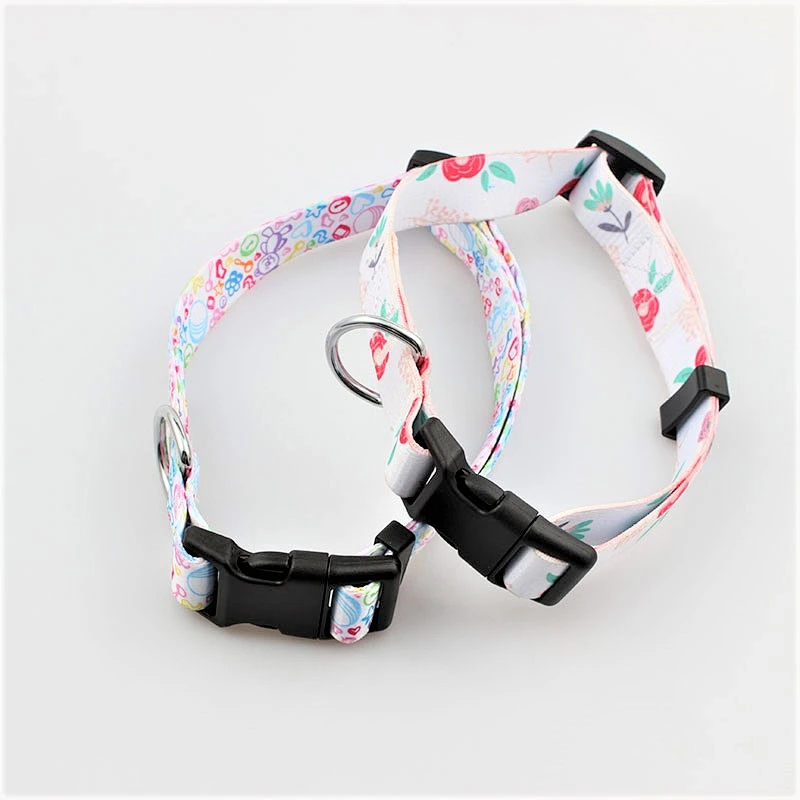 Customized Logo Design Heat transfer printed dog collars training