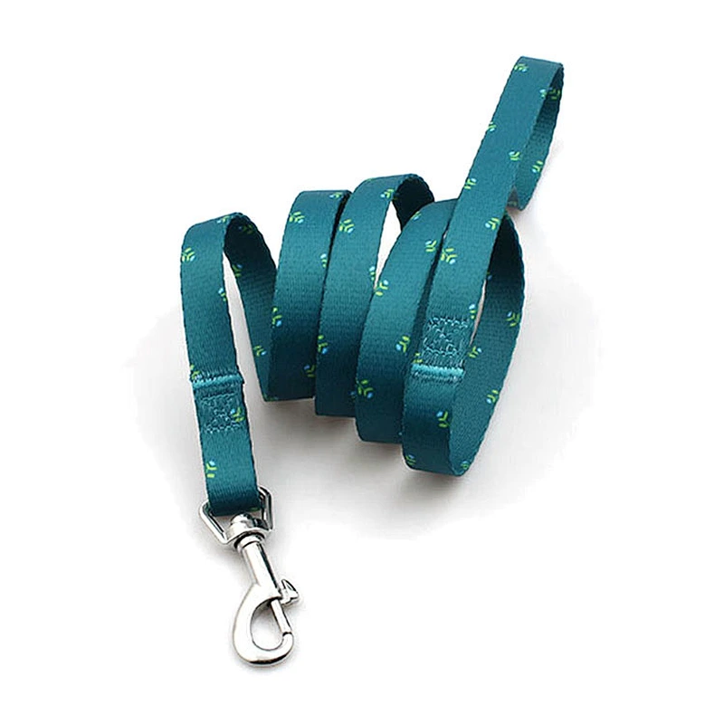 High quality custom pet show leash for big dogs