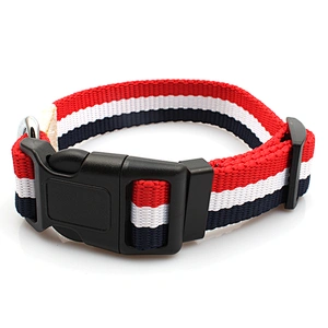 High quality free sample pet collar for dogs