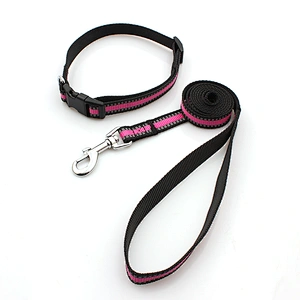 Retractable custom adjustable buckle nylon dog collar and leash