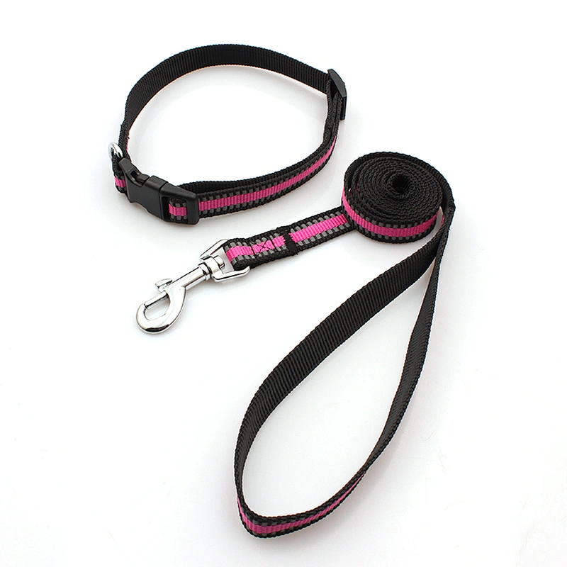 Retractable custom adjustable buckle nylon dog collar and leash