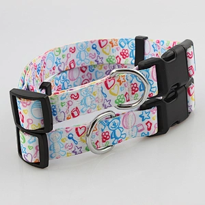 Premium quality adjustable polyester dog collar for training