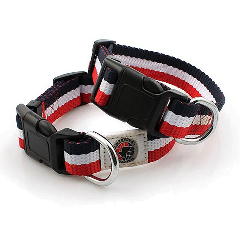 High quality free sample pet collar for dogs