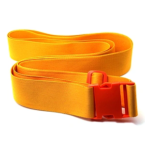 Promotion gifts popularity luggage safety belt for travel use