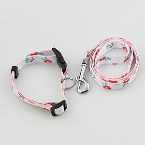 Best polyester collar and leash for pet and dogs puppies