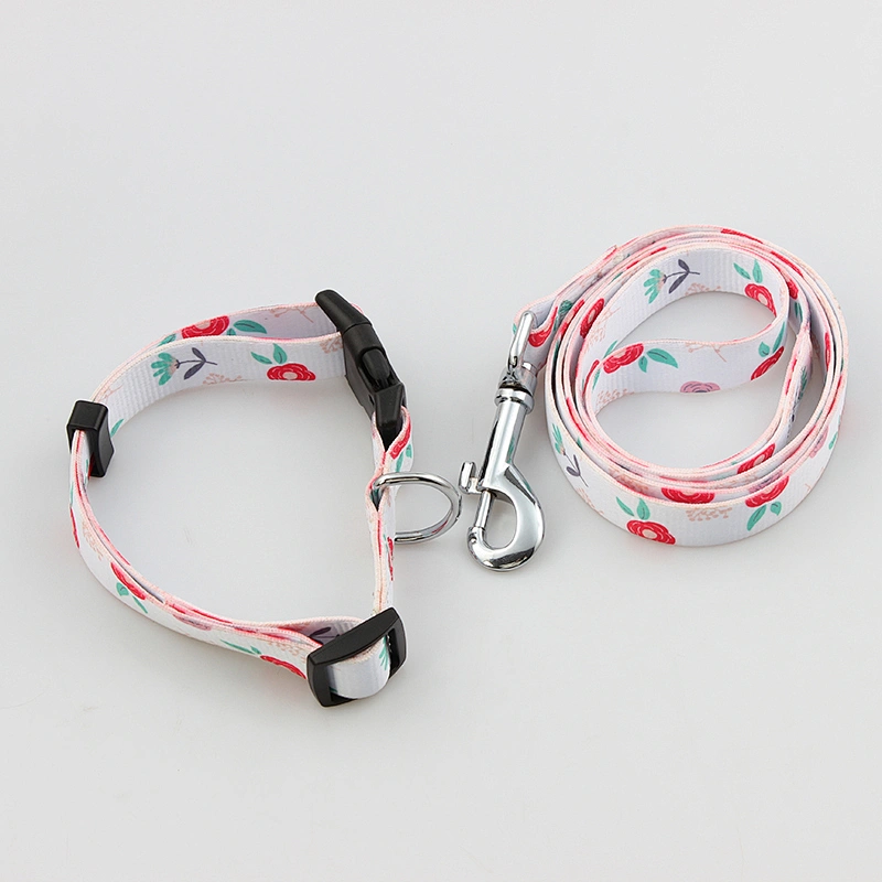 Best polyester collar and leash for pet and dogs puppies