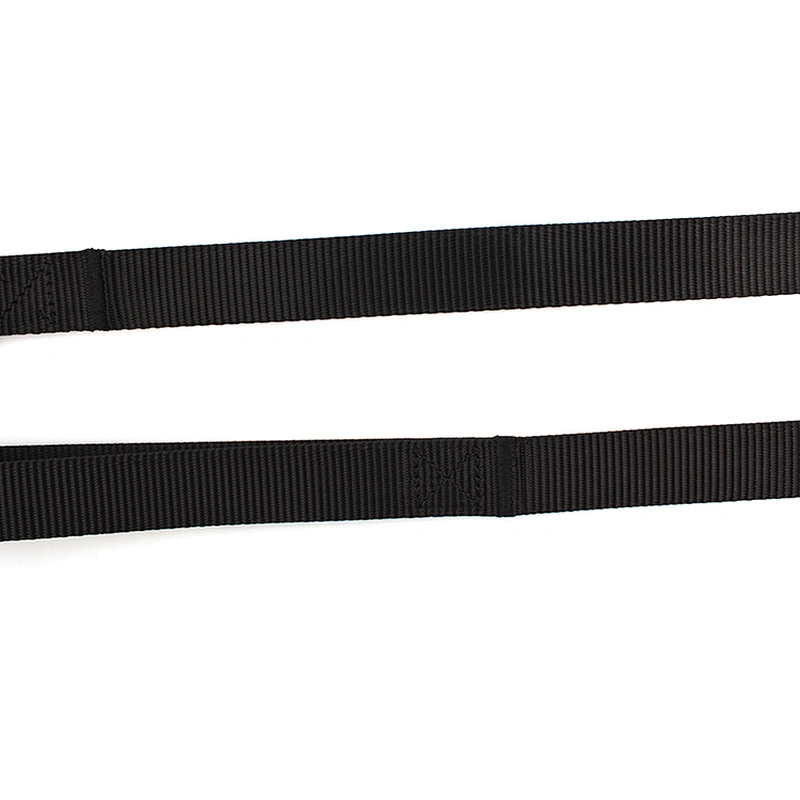 Promotion high quality durable dog leash for training
