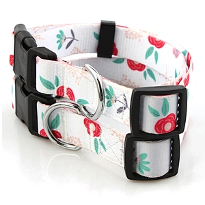 Small used plastic buckle dog training collar