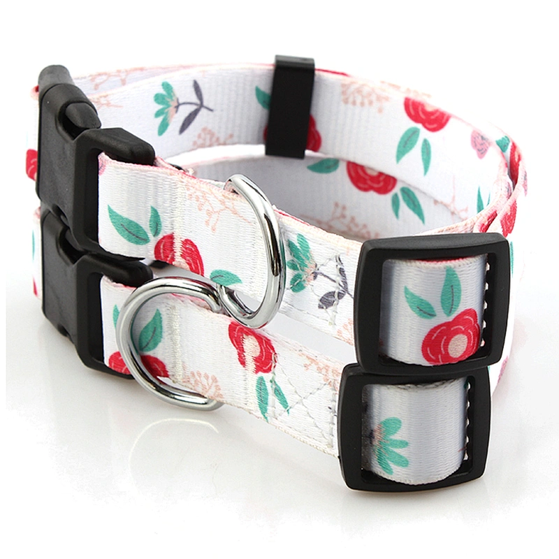 Small used plastic buckle dog training collar