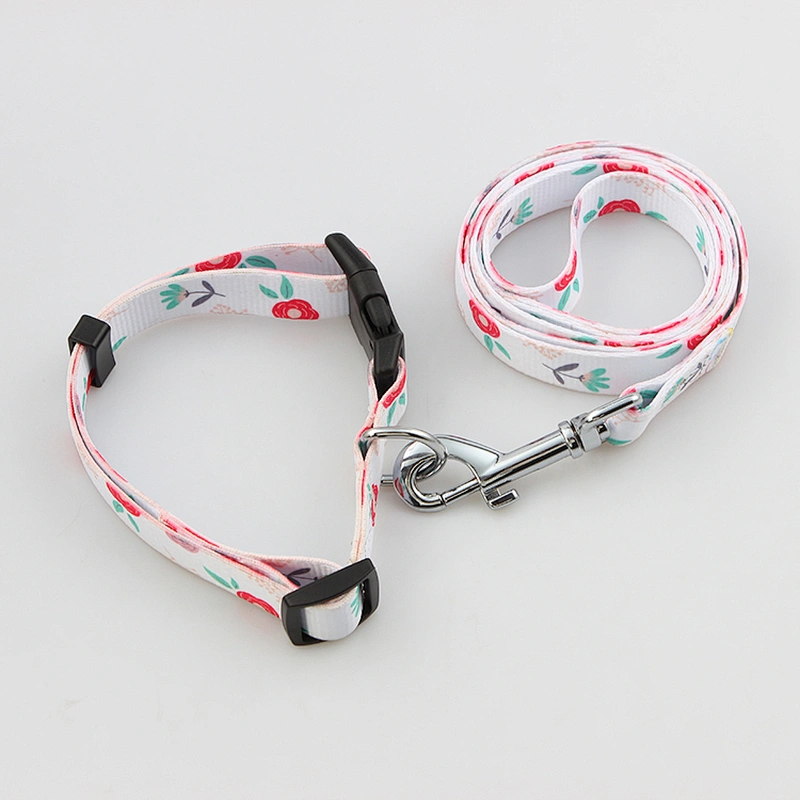 Personalized Sublimation Polyester Dog Collars and Leads