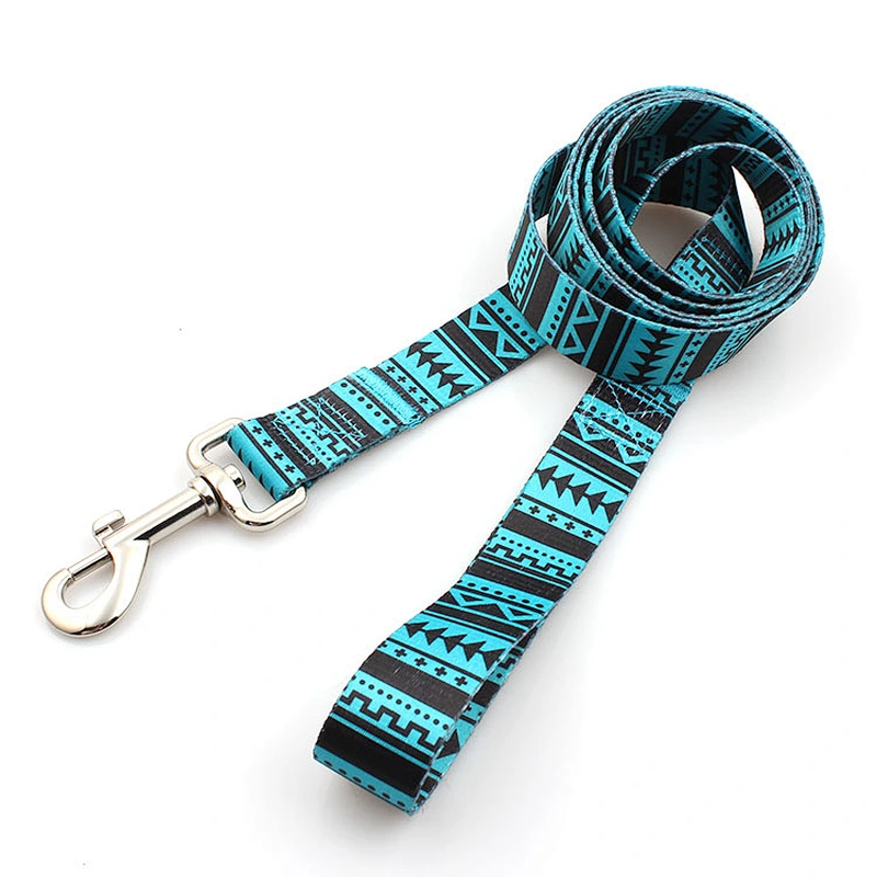 High quality custom pet show leash for big dogs
