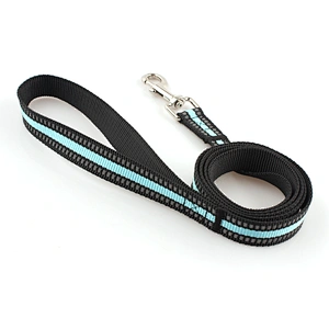 Pet product factory price strong nylon dog leash for training