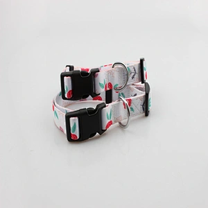 Premium quality adjustable polyester dog collar for training