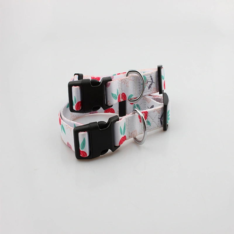 Premium quality adjustable polyester dog collar for training