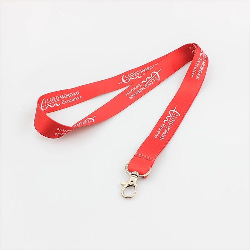 Novelty design stylish personalized lanyards for keys