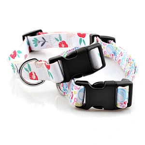 Premium quality adjustable polyester dog collar for training