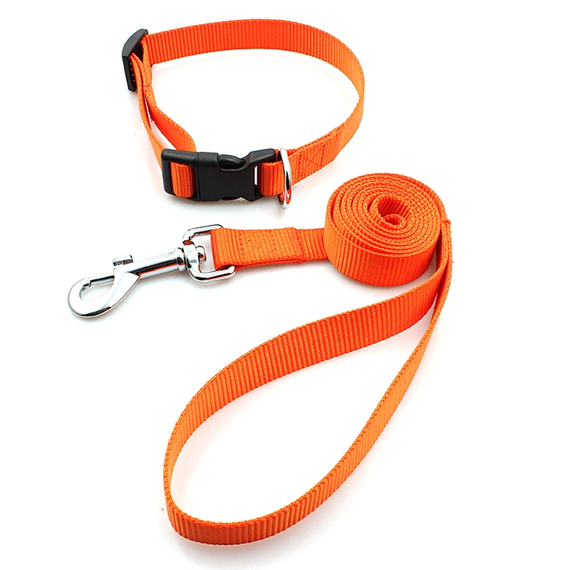 Hot sale custom cute adjustable durable dog collar and leash set