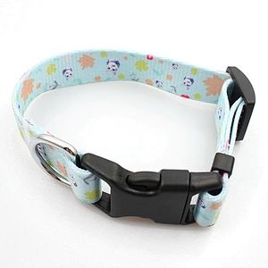 Professional Custom Coach Dog Collar in Good Quality