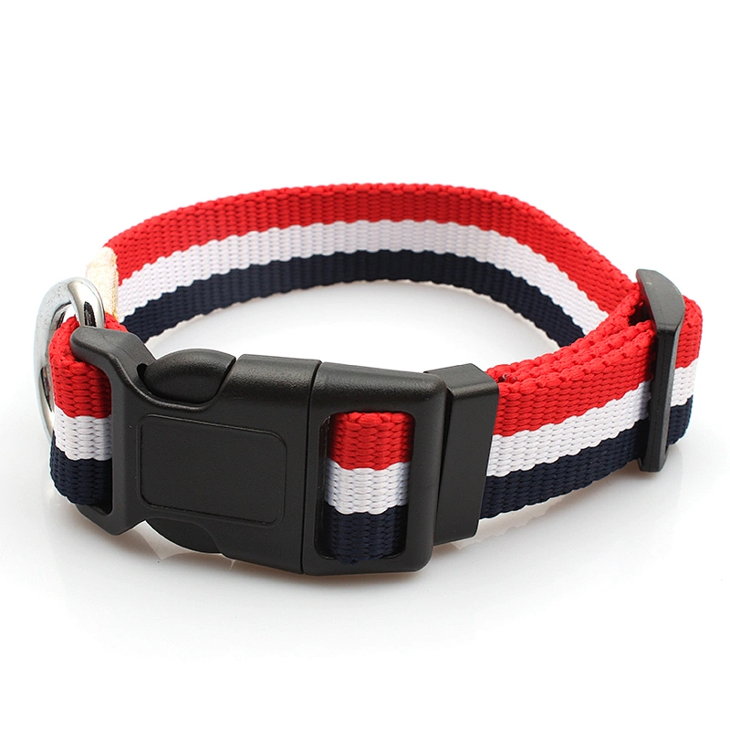 High quality free sample pet collar for dogs