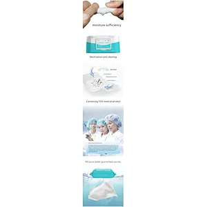 Fast Delivery 50sheets Pack Kill 99% Germ Sterilization Disinfecting 75% Alcohol Wipes
