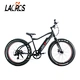 Half-hidden battery 26" 36V 250W/350W rear motor fat tire beach ebike electric bicycle