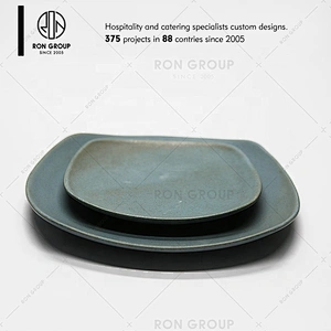 Restaurant And Home Generic Insulated Ceramic Square Plate