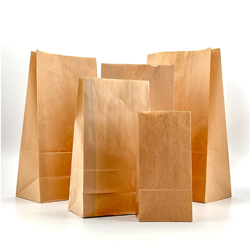 Eco Friendly Shopping Packaging Portable Kraft Custom Paper Bag