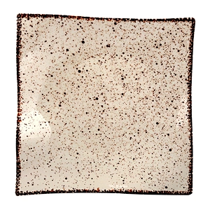 High Quality 11 Inch Durable Dinner Ceramic Square Dinner Plates