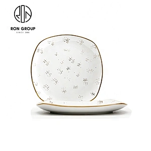 Restaurant Generic Shallow Large White Square Dinner Plates