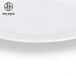 10 Inches Round Shape Plain White Ceramic Quality Round Plate