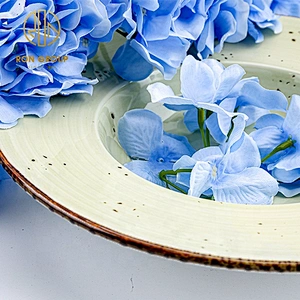 Wholesale Triangular Narrow Plate Personalized Plates For Restaurant
