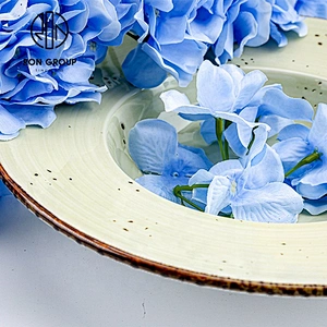 Wholesale Triangular Narrow Plate Personalized Plates For Restaurant