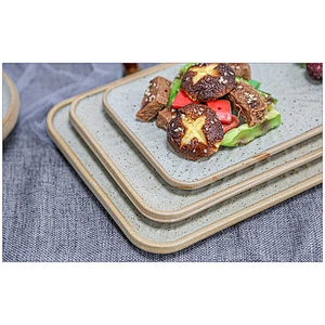 Khaki colour Retangular Flat 10 12 14inch Plates ceramic dishes for hotel restaurant